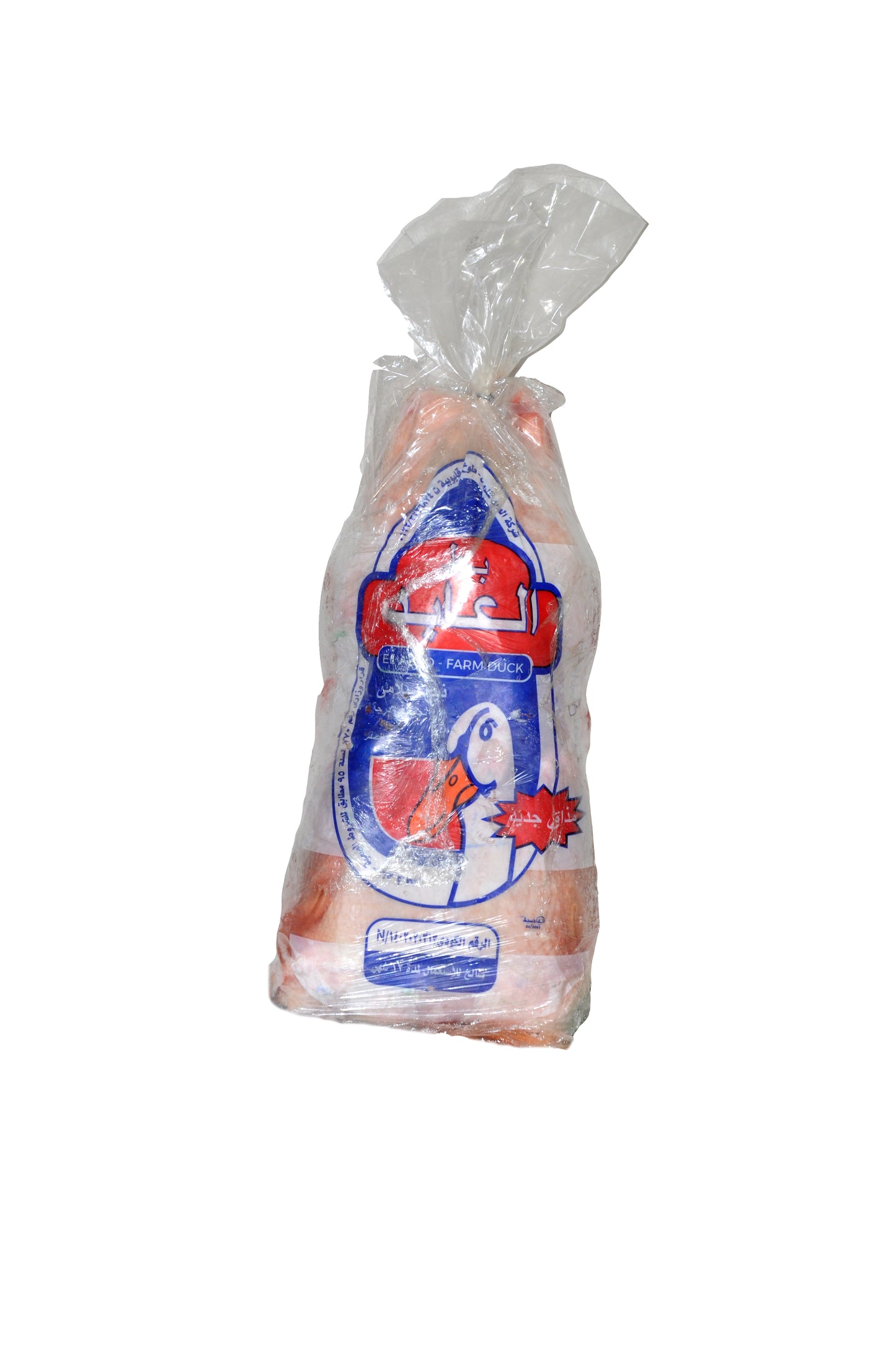 بط العابد